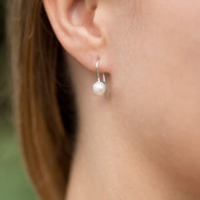 Load image into Gallery viewer, 6mm White Cultured Freshwater Pearl Earrings on Euro Wire